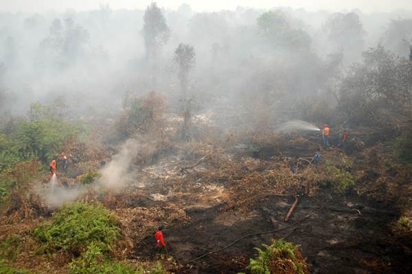  EKOSISTEM GAMBUT : 910.933 Ha Lahan Pengganti Disiapkan