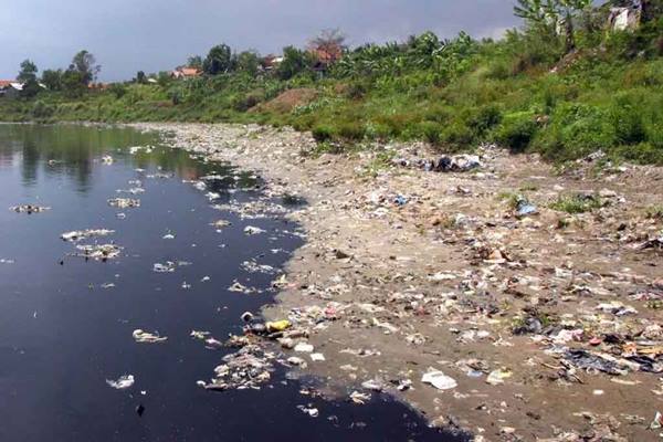  Air Sungai Bekasi Hijau Kebiruan, Banyak Bangkai Ikan Mengambang