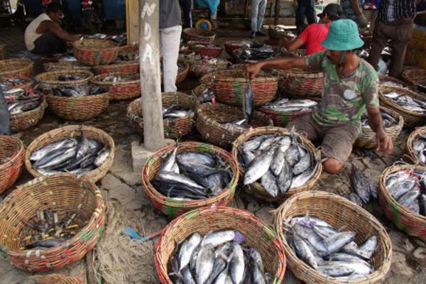  Industri Pengolahan Ikan di Batang Kekurangan Bahan Baku