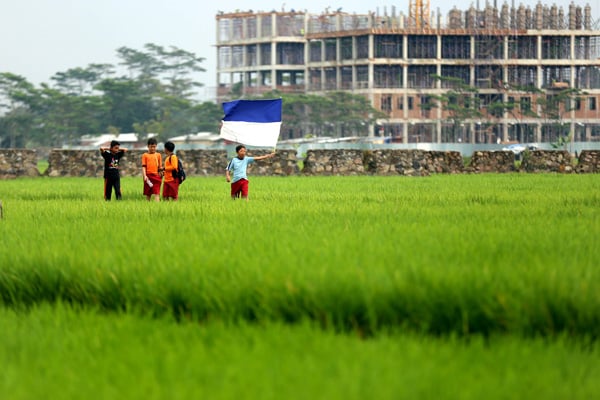  FOTO: INOVASI PERTANIAN : Anak Muda Jadi Tumpuan