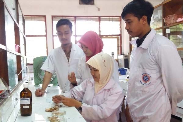  INIOVASI BIOPLASTIK: Dibuat dari Limbah Kulit Udang & Biji Alpukat