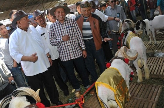  Ini Alasan Disnak Jabar Rutin Gelar Kontes Ternak