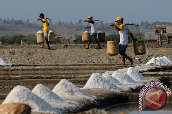  Pasokan Menipis, Harga Garam di Pekalongan Meroket