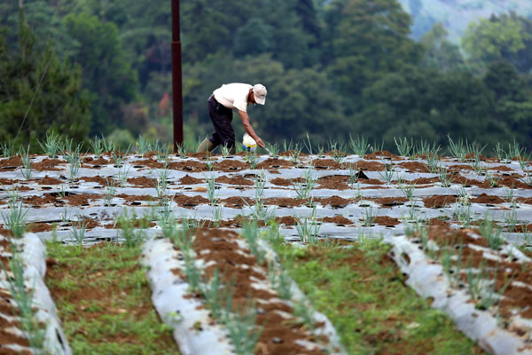  FOTO: LEMBAGA PEMBIAYAAN : Akses Finansial bagi Petani Dibuka