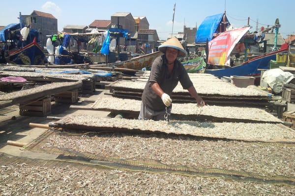  Harga Ikan Asin di Tambak Lorok Naik Imbas Kelangkaan Garam