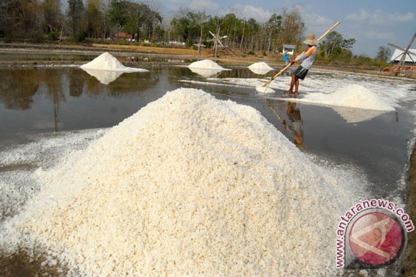  Harga Garam Batangan di Temanggung dari Rp2.500 Jadi Rp7.500