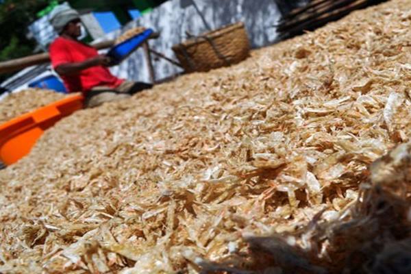  PERIKANAN BUDI DAYA : Konsumsi Pakan Ikan Lesu