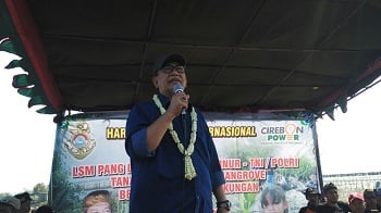  Wagub Jabar Hadiri Penanaman Mangrove di Pantura Cirebon