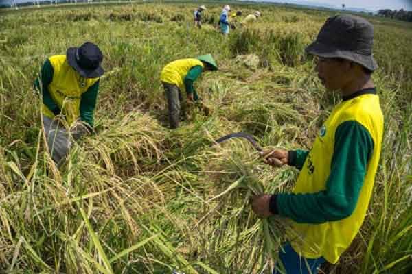  Bantul Bentuk Tim Pemetaan Lahan Pertanian Berkelanjutan