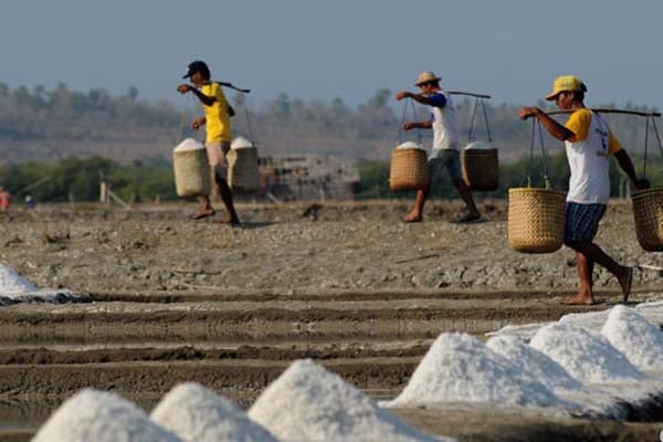  Kemarau Basah Hambat Panen Garam, Perlu Kajian Data Cuaca