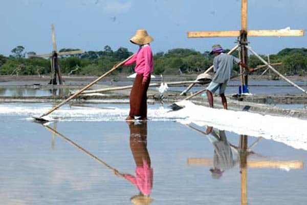  Kadin NTT Desak Para Kepala Daerah Selesaikan Persoalan Garam