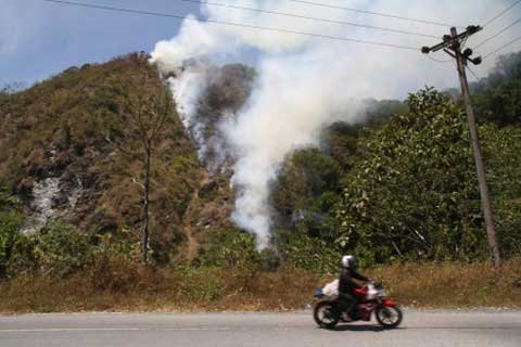  BPBD NTT Ingatkan Petani Menghindari Pembakaran Hutan