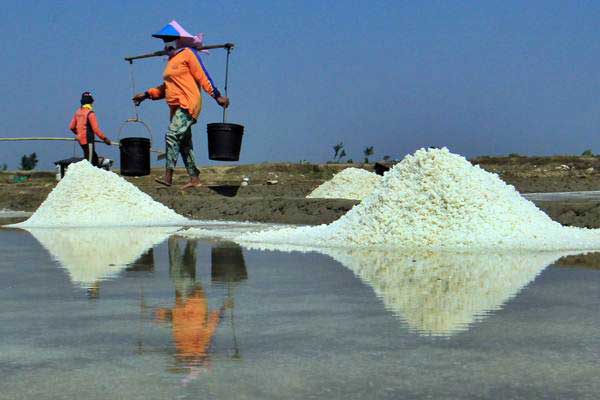  KELANGKAAN GARAM: 37 Kontainer Garam Siap Diangkut dari NTT