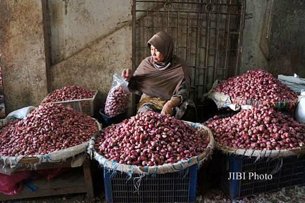  KLASTER BAWANG MERAH : Pengadaan Bibit Disiapkan