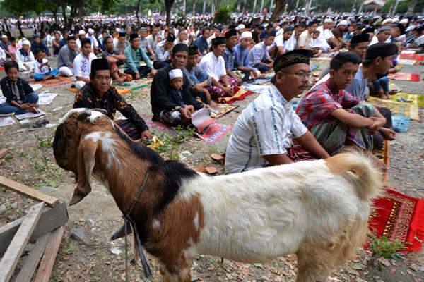  Banzas Terus Kembangkan Komunitas Peternak Kambing