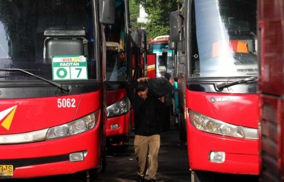  Program Bagi-bagi Bus Kemenhub Tak Efektif