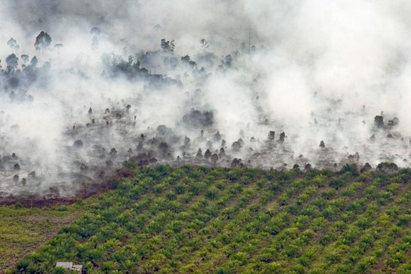  BNPB Pantau 150 Titik Api di Kalimantan Barat