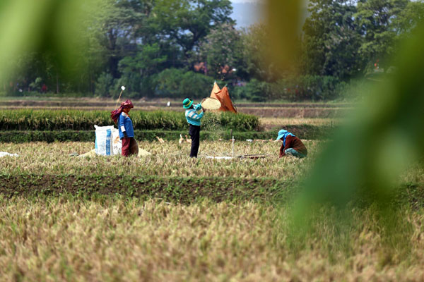  FOTO: Puso Mulai Menghantui Jabar