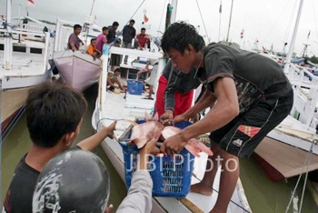  Potensi Ikan Tangkapan di Kabupaten Malang Masih Rendah