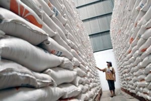  Bulog Surakarta Sudah Menyerap 45.051 Ton Beras