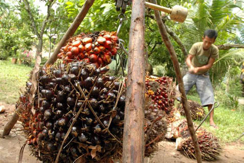  EMITEN PERKEBUNAN : Global Bond TBLA Ditunda