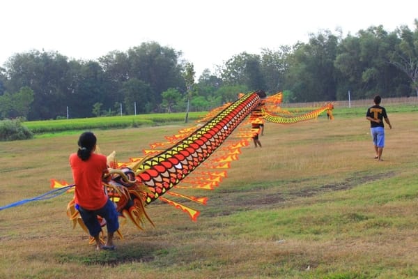  Layang-layang Naga 125 Meter Mengudara