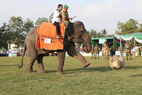  Menpora Buka Liga Santri Nusantara Regional VII di Lampung Timur