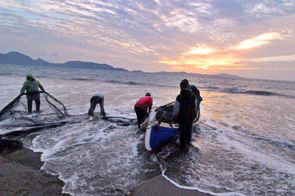  Stok Ikan di Natuna Turun, Mobilisasi Nelayan Pantura Tetap Berlanjut