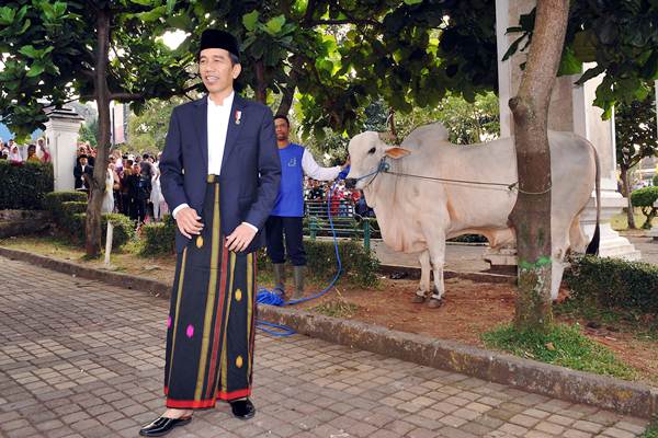  Presiden Jokowi dan Sapi Kurbannya