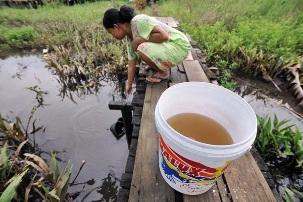  PUPR Bantu Percepatan Restorasi Gambut di 7 Provinsi