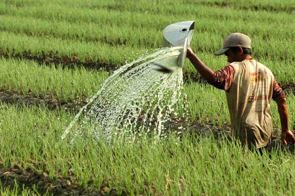  Deflasi di Perdesaan Kerek Nilai Tukar Petani