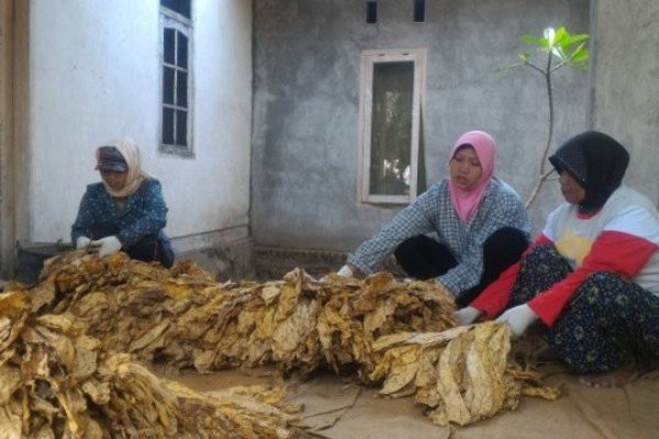  Kemendag Segera Membuat Aturan Main Impor Tembakau