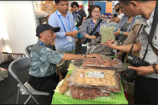  CAEXPO 2017: Paviliun Indonesia Tebar Pesona. Ini Penampakannya