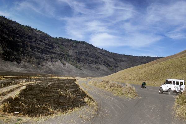  Kawasan Bromo Tak Hijau Lagi Pascakebakaran