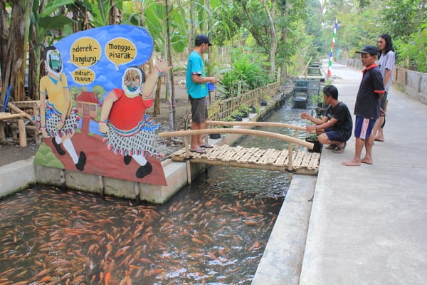  Ramai-Ramai Didorong Tiru Selokan Ikan Singosaren