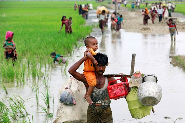 Pengungsi Rohingya melintasi sawah, setelah berhasil menyeberangi perbatasan Bangladesh-Myanmar, di Teknaf, Bangladesh, Rabu (6/9)./REUTERS-Danish Siddiqui