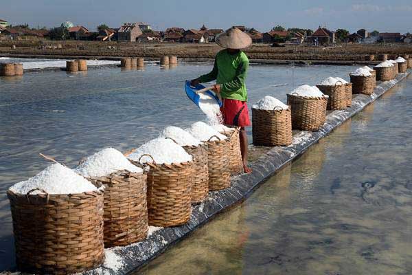  Produktivitas Garam Rakyat Masih Belum Normal