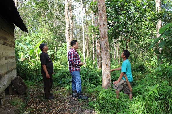  Hamijon Adalah Sumber Penghidupan Kami