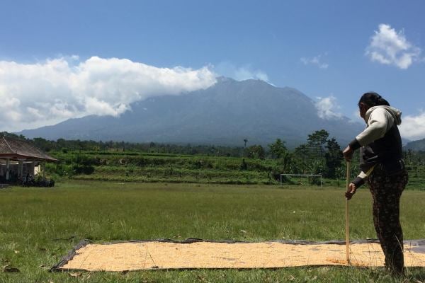  Situasi Gunung Agung Tenang, Antisipasi Tetap Dilaksanakan