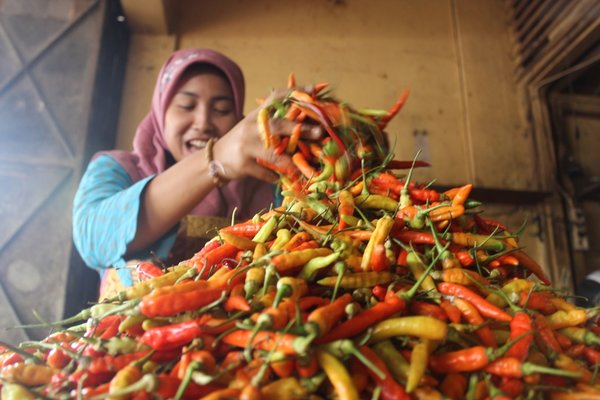  Harga Cabai di Solo Turun Menjadi Rp13.000/Kg