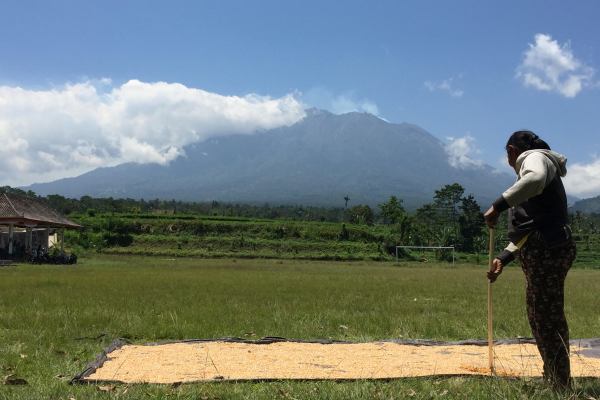  BPBD NTB Menyiapkan Bantuan Bagi Pengungsi Gunung Agung