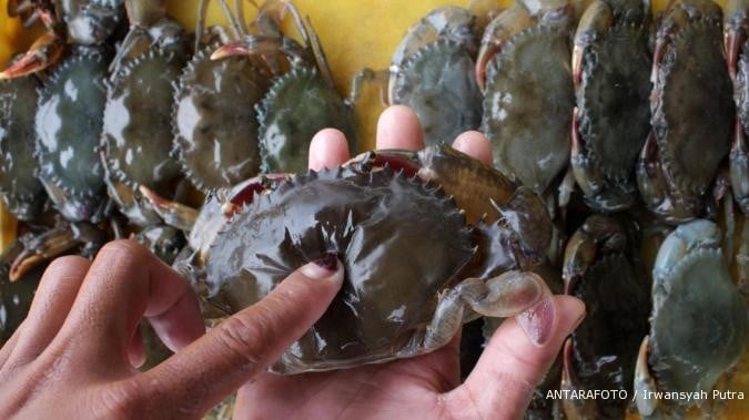  Penangkaran Kepiting di Bombana Mulai Dirintis