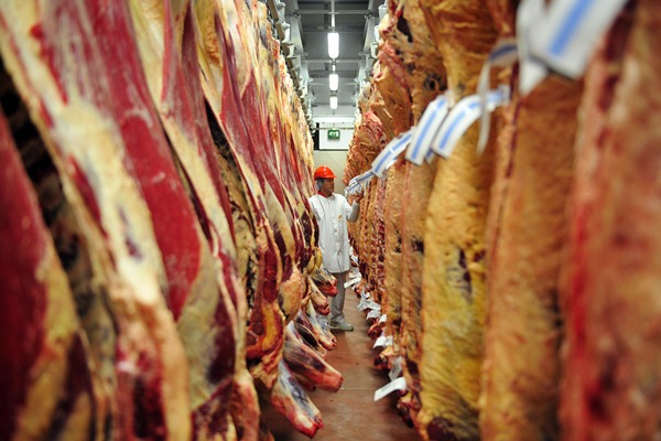  SNJ Lebarkan Sayap ke Bisnis Rental Cold Storage