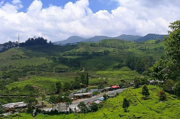  Ratusan Kios di Jalur Puncak-Cianjur akan Dibongkar