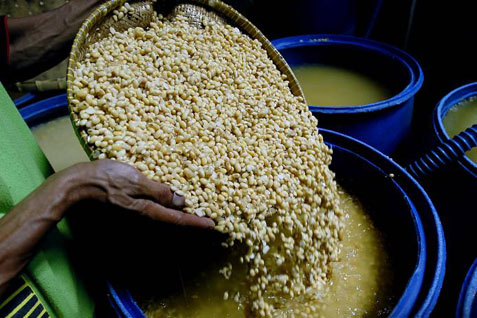  KEBUTUHAN BENIH KEDELAI : Dua BUMN Siap Menangkap Peluang