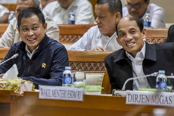  NEGOSIASI DIVESTASI FREEPORT  : Babak Tambahan dalam Tiga Bulan