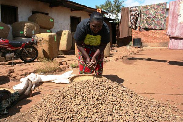  Ada Vampir di Malawi Selatan? Warga Resah, Rusuh, 5 Orang Tewas dan PBB Tarik Staf