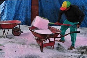  PUPUK KALTIM: Serapan Urea di Jatim Masih Tertinggi