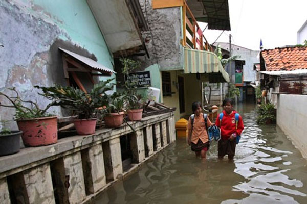  Banjir Rendam Rumah dan Persawahan di Banyumas