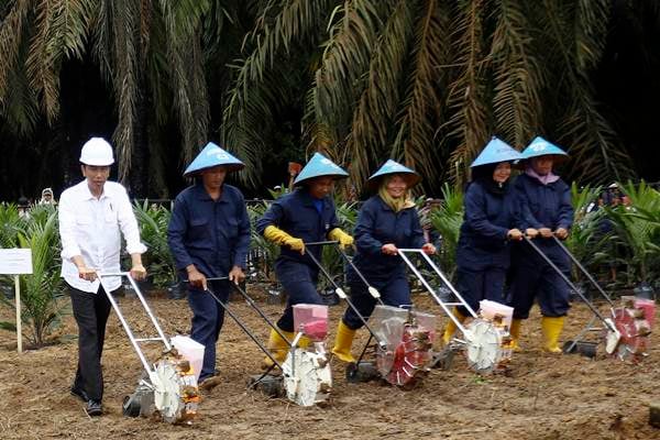  Penanaman Perdana Program Peremajaan Kebun Kelapa Sawit